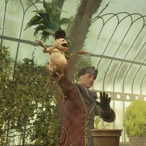 Hogwarts Student learn how to use Mandrake Plant